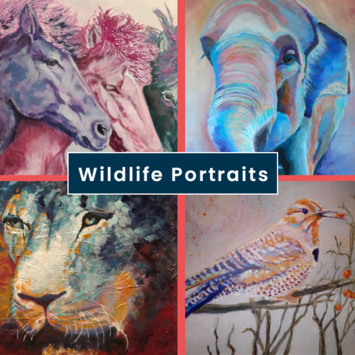 Wildlife Portraits